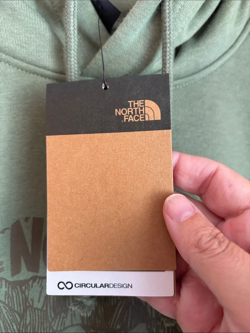 The North Face Mens Evolution TNF™ Bear Hoodie Graphic Sage Green Largr NWT soft